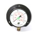 Pressure Gauge Bottom Connection 3/8 BSP (100MM / 4" Dial) 
